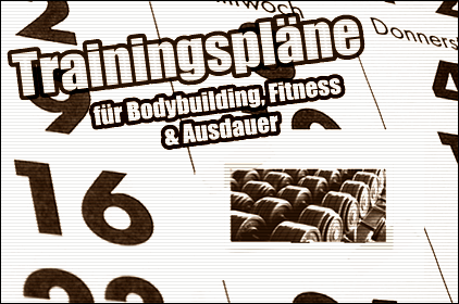 Trainingspl&auml;ne f&uuml;r Bodybuilding, Kraftsport, Muskelaufbau, Core-Training, und Ausdauertraining
